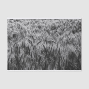 Papier Mousseline Champ noir et blanc de blé