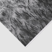 Papier Mousseline Champ noir et blanc de blé (Détail)