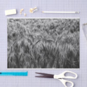 Papier Mousseline Champ noir et blanc de blé (Artisanat)