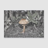 Papier Mousseline Champignon sauvage (champignon) (Recto)