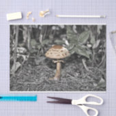 Papier Mousseline Champignon sauvage (champignon) (Artisanat)