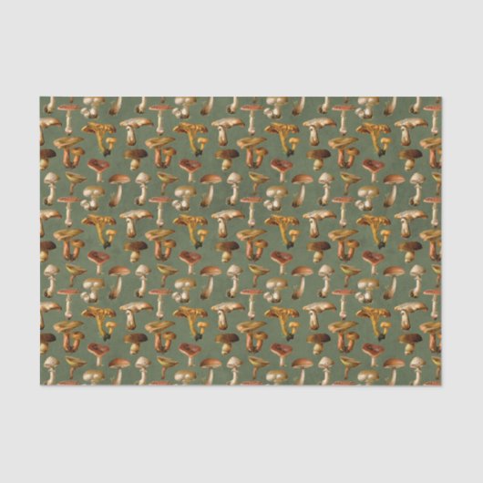 Papier Mousseline Champignons sauvages vintages (Recto)