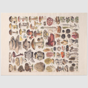 Papier Mousseline Champignons vintages Par Adolphe Millot