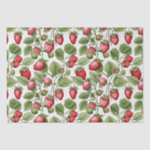 Champs de fraises