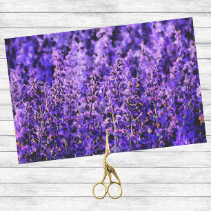 Papier Mousseline Champs de lavande d'art très violet