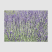 Papier Mousseline Champs de lavande violet Floral (Recto)