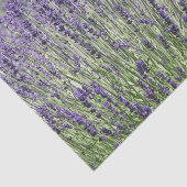 Papier Mousseline Champs de lavande violet Floral (Détail)