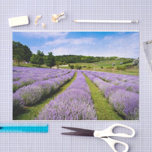 Papier Mousseline Champs Lavendar (Artisanat)