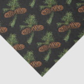 Papier Mousseline Charbon et Aquarelle Pine Côtes (Détail)