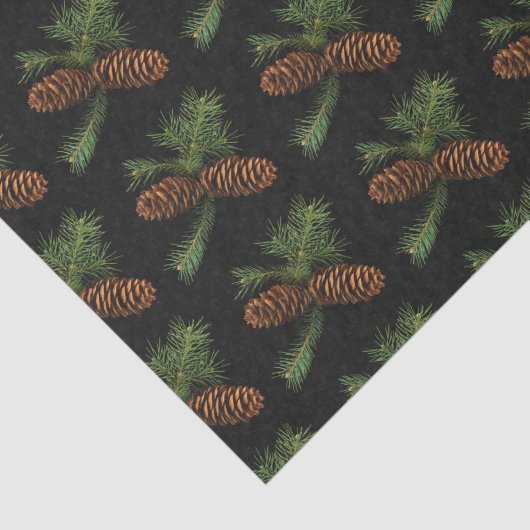 Papier Mousseline Charbon et Aquarelle Pine Côtes (Détail)