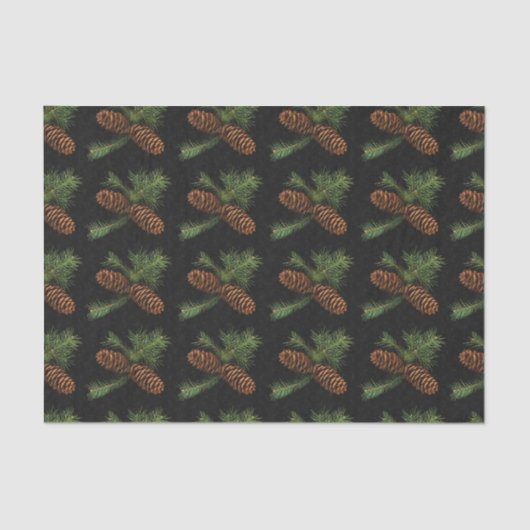 Papier Mousseline Charbon et Aquarelle Pine Côtes (Recto)