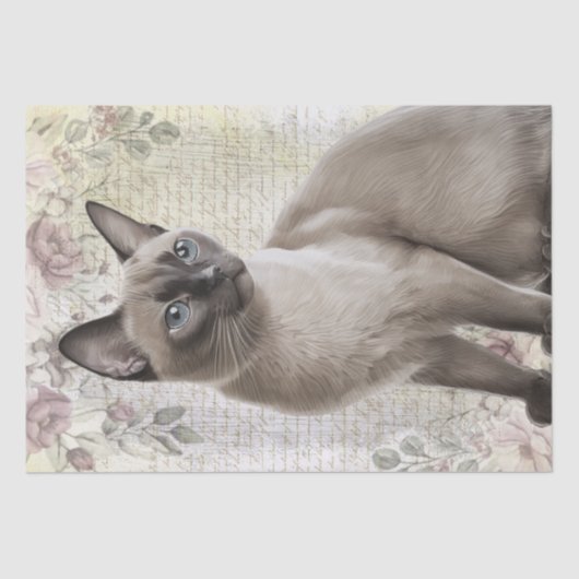 Papier Mousseline Chat birman Floral Chat Kitten (Recto)