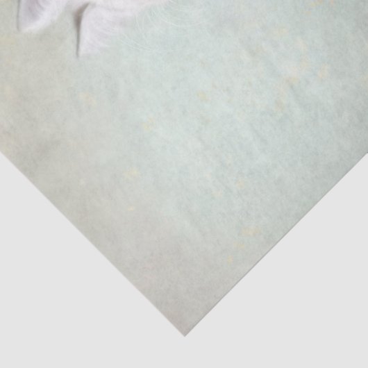 Papier Mousseline Chat blanc (Détail)