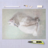 Papier Mousseline Chat blanc (Artisanat)