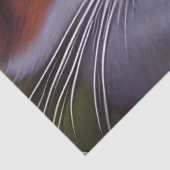 Papier Mousseline Chat bleu à l'oeil dans les bois (Détail)