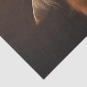 Papier Mousseline Chat Dans La Boîte À Chaussures - Chat Sarcastique (Détail)