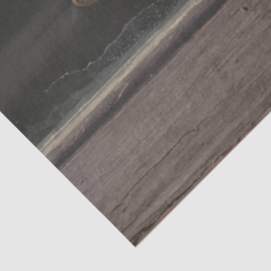 Papier Mousseline Chat dans la fenêtre Découpage (Détail)