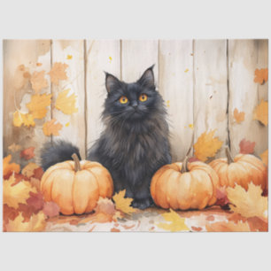 Papier Mousseline Chat d'automne et découpage Citrouille