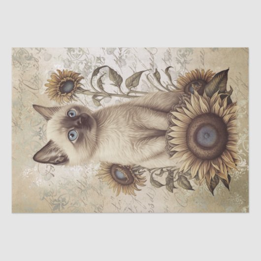Papier Mousseline Chat de tournesol Siamese Kitten (Recto)