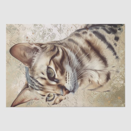 Papier Mousseline Chat du Bengale (Recto)