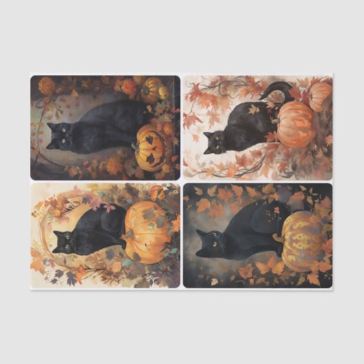 Papier Mousseline Chat effrayant (Recto)