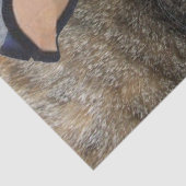 PAPIER MOUSSELINE CHAT ÉLÉGANT AVEC CASQUETTE DIVA, ROSES ROSES ROSE (Détail)