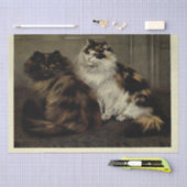 Papier Mousseline Chat Ephemera Decoupage Tortoiseshell noir blanc (Artisanat)