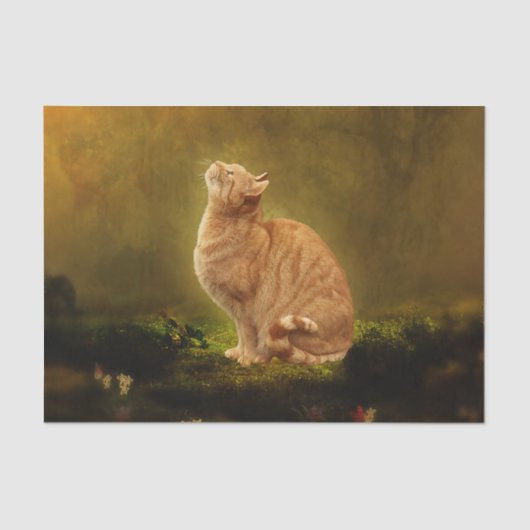 Papier Mousseline Chat et fée (Recto)