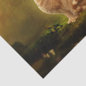 Papier Mousseline Chat et fée (Détail)