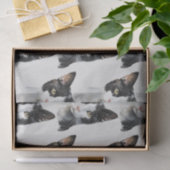 Papier Mousseline Chat Kitty blanc gris noir (Cadeau)