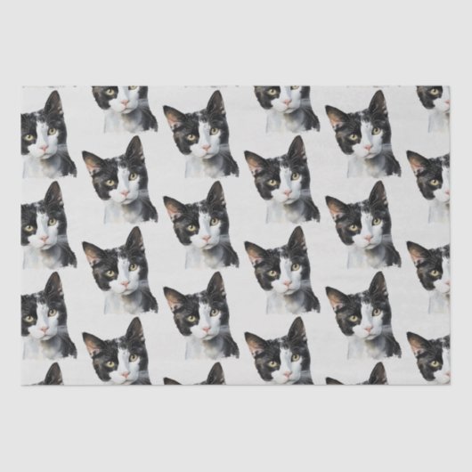 Papier Mousseline Chat Kitty blanc gris noir (Recto)