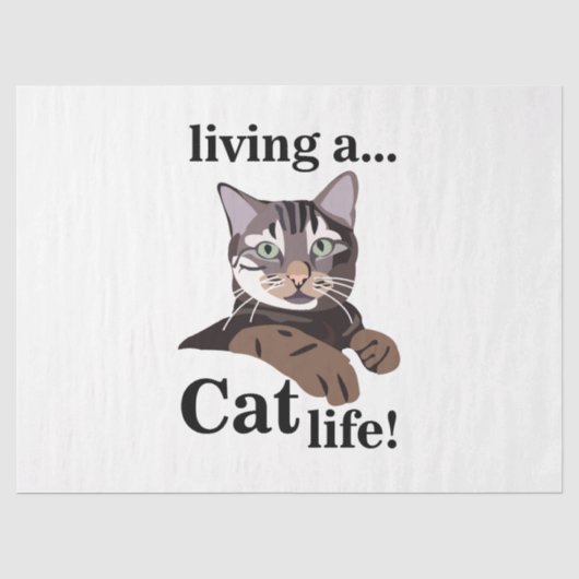 Papier Mousseline Chat Kitty Drôle (Recto)