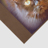 Papier Mousseline chat noir (Détail)