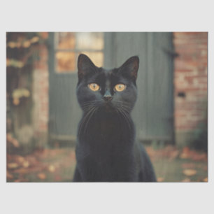 Papier Mousseline Chat noir dans la Découpage Pittoresque d'automne