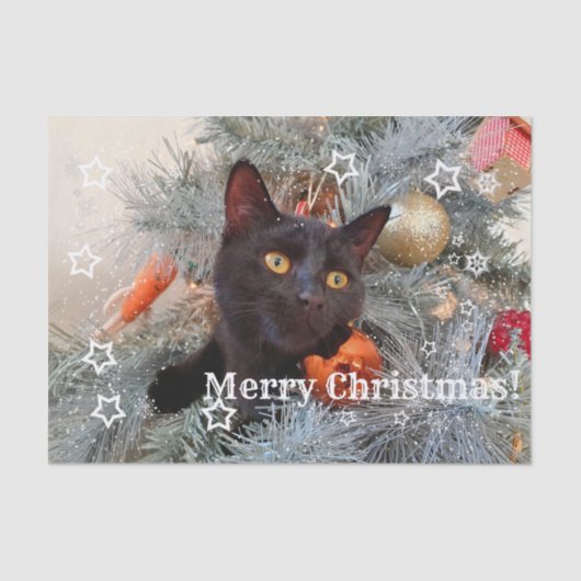 Papier Mousseline Chat noir Joyeux Noël, Découpage (Recto)