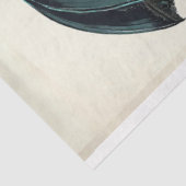 Papier Mousseline Chat noir sophistiqué avec parapluie turquoise (Détail)