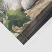 Papier Mousseline Chat perse blanc bouffant dans une décomposition d (Détail)