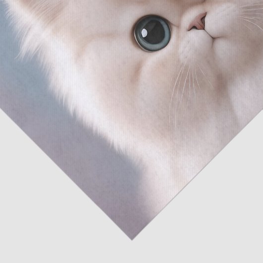 Papier Mousseline Chat perse Jouer Kitten (Détail)