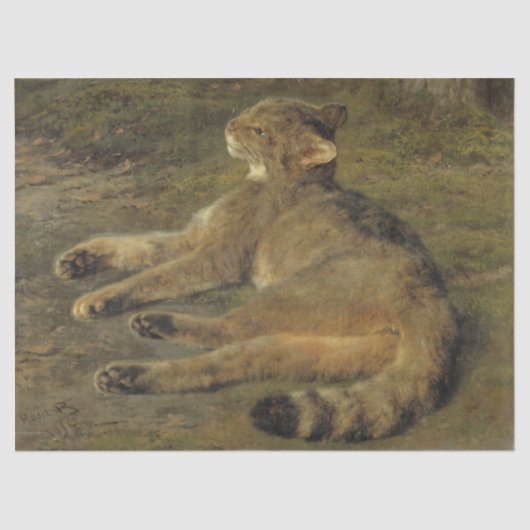 Papier Mousseline Chat sauvage (par Rosa Bonheur) (Recto)