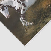 Papier Mousseline Châtaigner cadre Tovero Paint Horse (Détail)