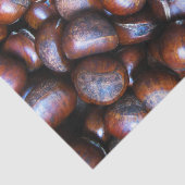 Papier Mousseline Châtaignes (Détail)