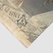 Papier Mousseline Château Vintage Peacock Ephemera Découpage (Détail)