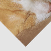 Papier Mousseline Chaton couchant (Détail)