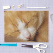 Papier Mousseline Chaton couchant (Artisanat)