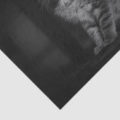 Papier Mousseline Chaton précieux  (Détail)