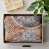 Papier Mousseline chatons dans un papier de tissu en panier (Cadeau)