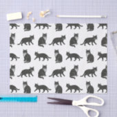 Papier Mousseline Chats (Artisanat)