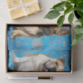 Papier Mousseline Chats et chiens Papier Tissu vétérinaire (Cadeau)