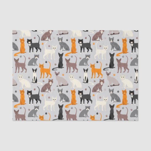 Papier Mousseline Chats et Empreintes de pattes (Recto)