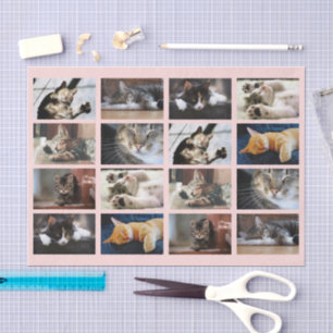 Papier Mousseline Chats mignons et chatons Modèle photo en rose